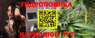 стафф Заволжье