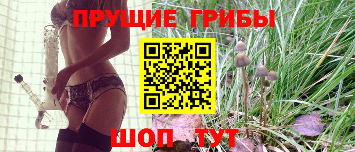 Ленинск-Кузнецкий  Галлюциногенные грибы мицелий  Вход с VPN 