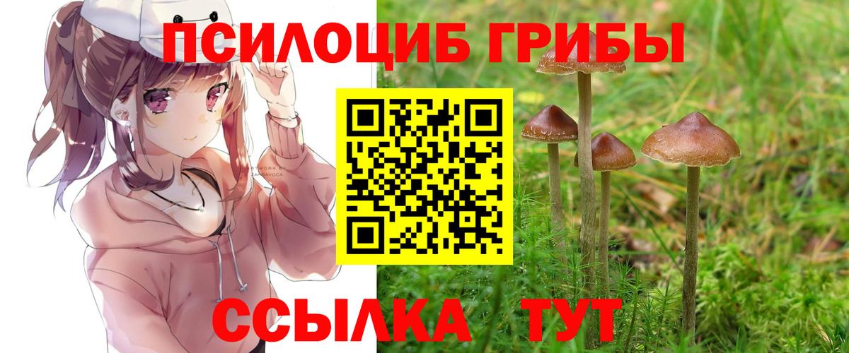 Галлюциногенные грибы Cubensis Ленинск-Кузнецкий